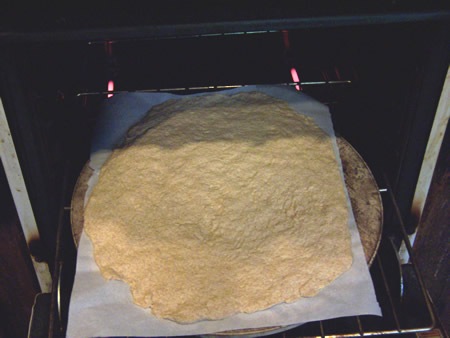 [pizza-in-forest 004[4].jpg]