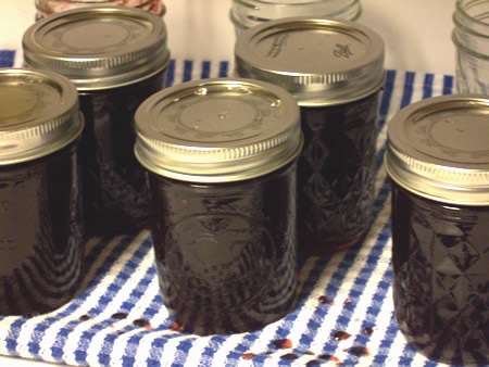 [muscadine-jelly 024[4].jpg]