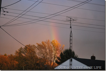 DSC_0002 DSC_0002