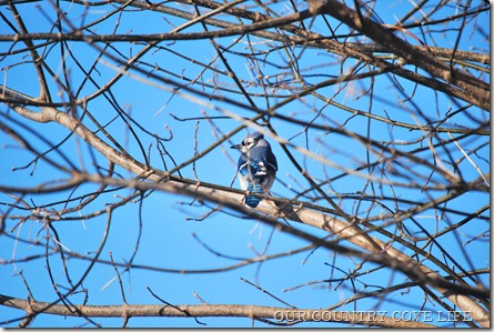DSC_0010 DSC_0010