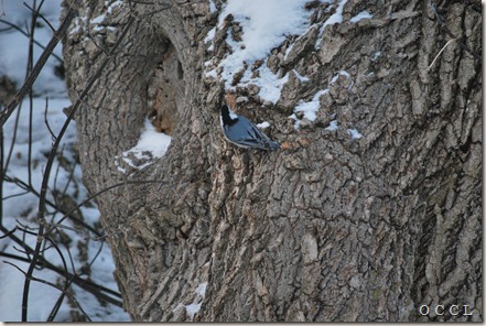 DSC_0009 DSC_0009