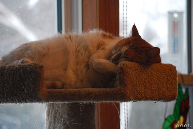 [DSC_0010[12].jpg]