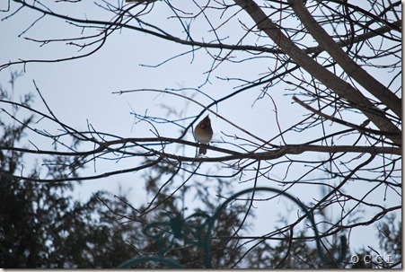 DSC_0001 DSC_0001