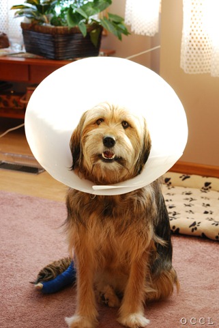 [DSC_0015[4].jpg]
