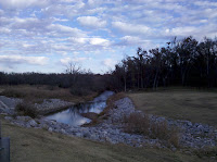 IMG_20101125_162118.jpg Photo