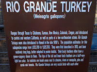 IMG_20101205_160356.jpg Photo