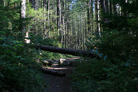 Access Trail Road Photo
