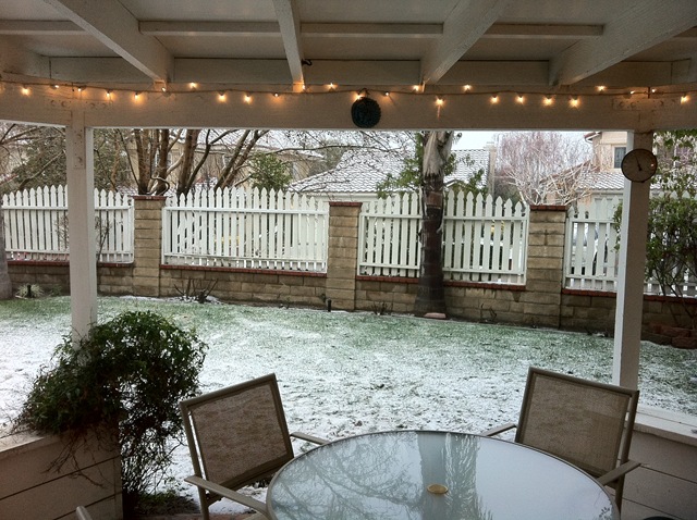[snow 048[6].jpg]