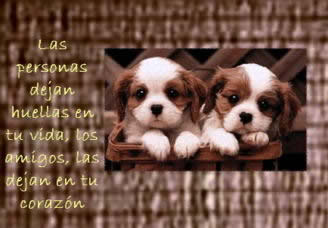 Imagenes para mi hi5