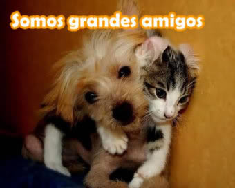 Imagenes para mi hi5