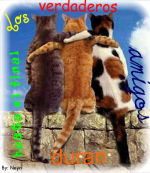 Imagenes para mi hi5
