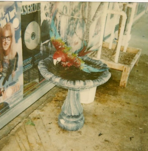 select photos from my video store