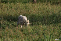IMG_8775.JPG Photo