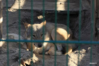 IMG_8774.JPG Photo