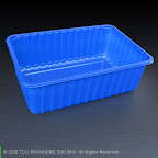 Model : Big Punnet 1000g tray.....Dimension : L272 x W182 x H89mm.....Packing Spec :-TBA