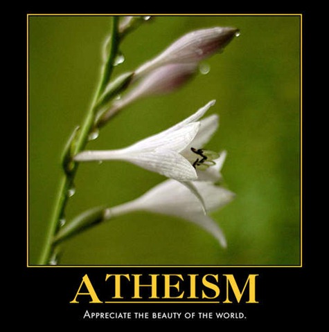 [atheism_motivational_poster_8[3].jpg]