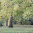  &ndash; 24-Oct-2009