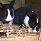 IMAG0110.jpg