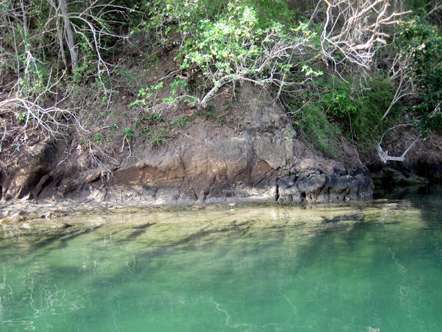 [IMG_12403.jpg]