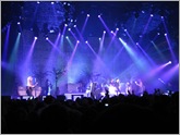 IMG_0594 (Medium)