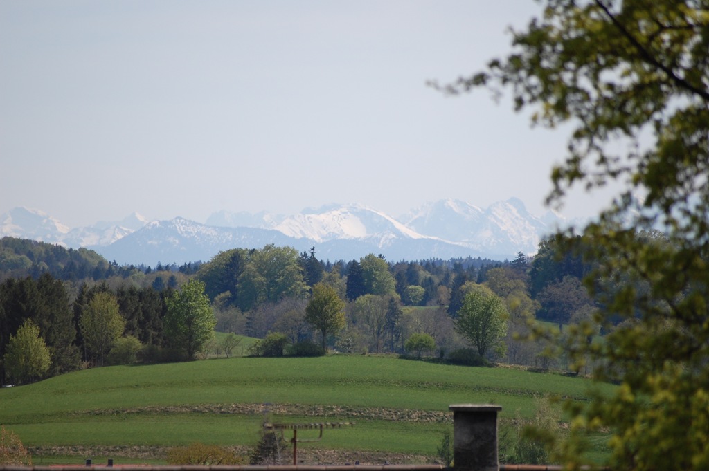 [DSC_0336[2].jpg]