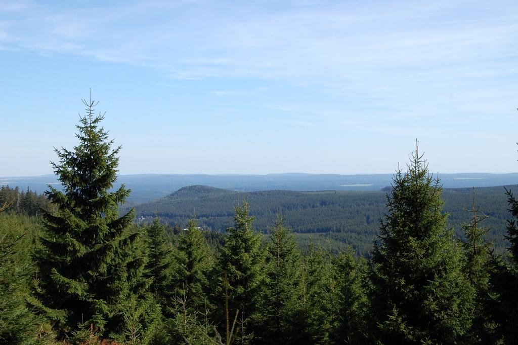 [DSC_0724 (Large)[2].jpg]