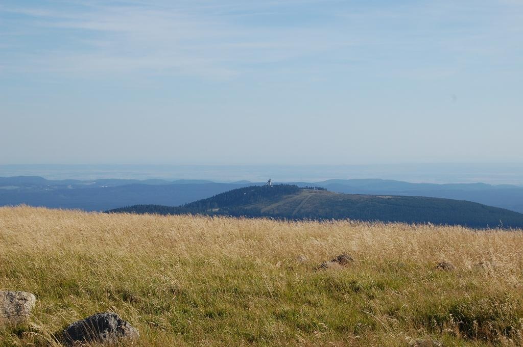 [DSC_0801 (Large)[2].jpg]