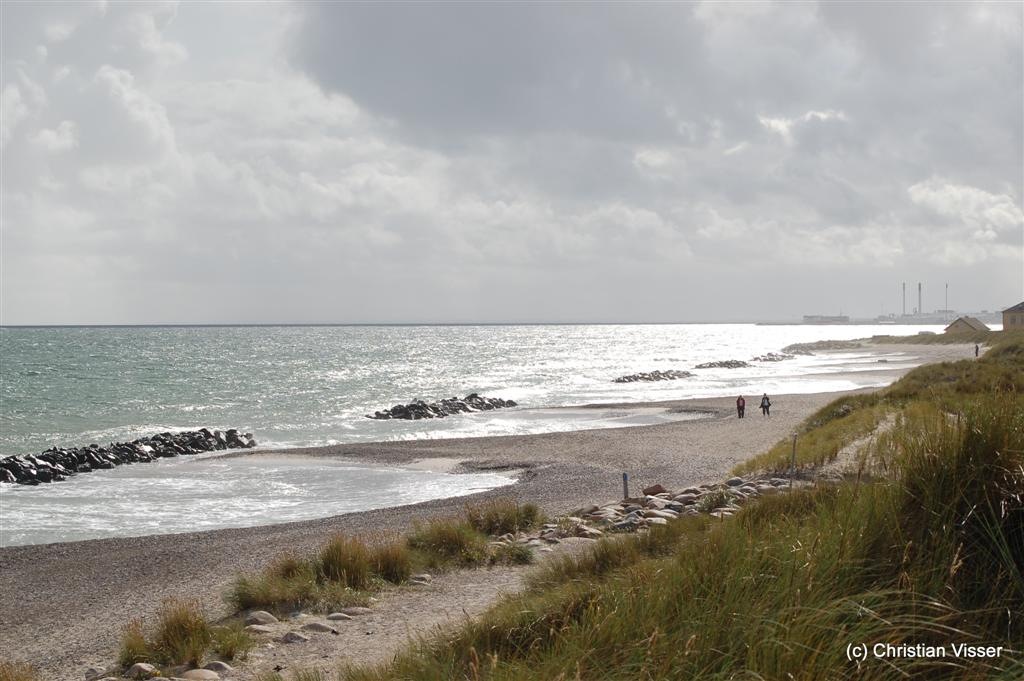 [DSC_0564 (Large)[5].jpg]