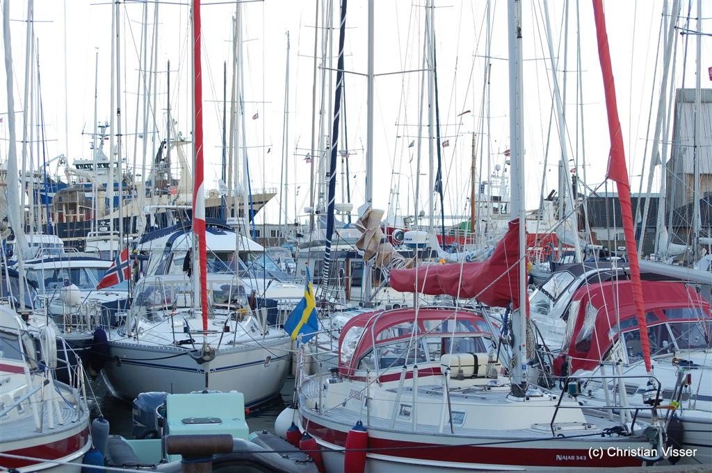 [DSC_0578 (Large)[2].jpg]