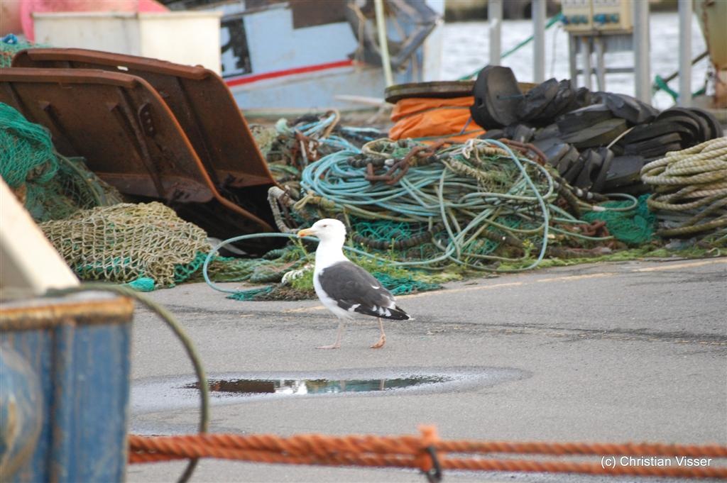 [DSC_0585 (Large)[2].jpg]