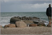 IMG_0405 (Large)