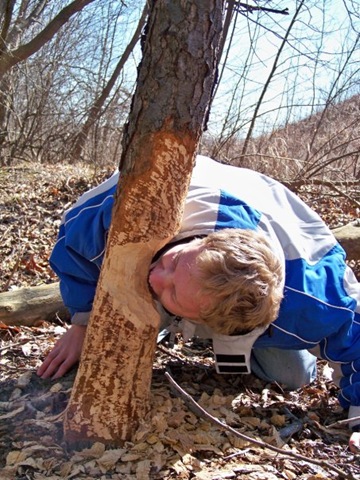 [nate tree[2].jpg]
