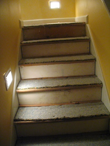 [IMG_69542.jpg]