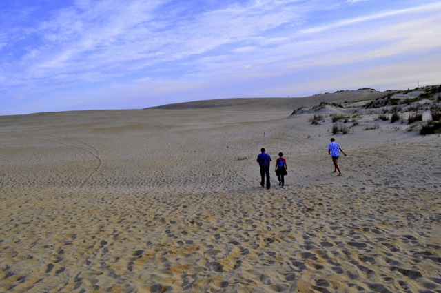 [_DSC0033[2].jpg]