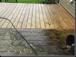 Deck Maintenance 2