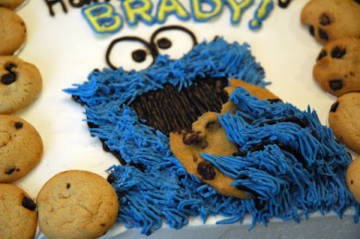 Cookie Monster Detail