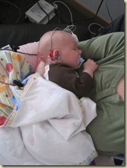 IMG_6181 IMG_6181