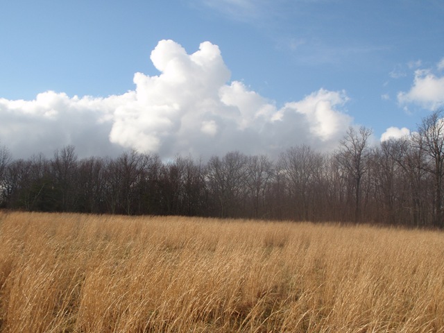[P3120019[2].jpg]