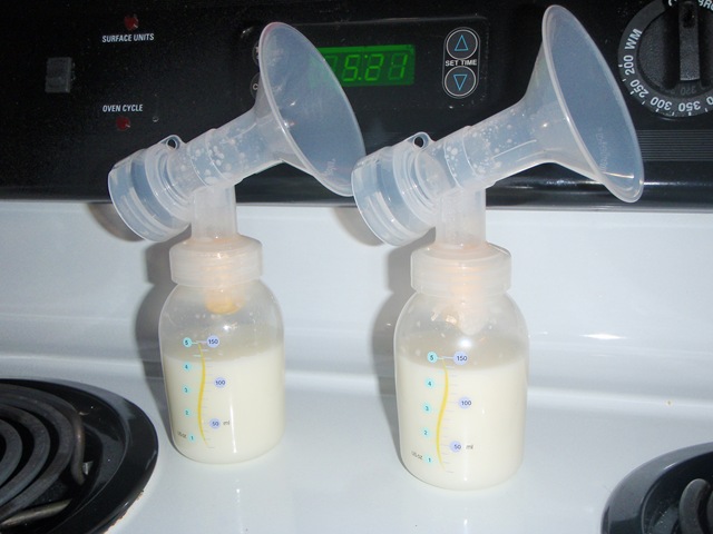 [P8150002[2].jpg]