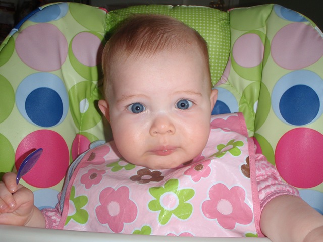 [P5010088[2].jpg]