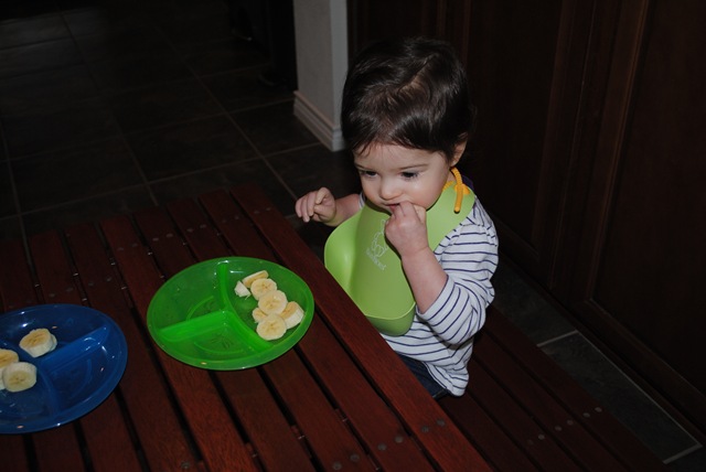 [20110102_3541[2].jpg]