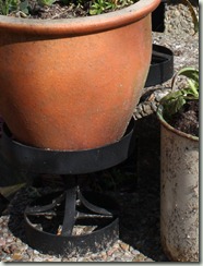 IMG_4436 (2) IMG_4436 (2)