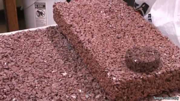 [Plastisoil[5].jpg]