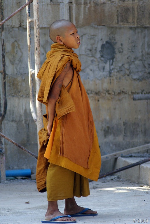 [sized_DSC09848(001)[36].jpg]