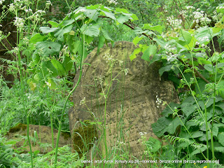 [click to view a larger image—gravestone #11]