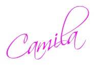 [assinatura camila.jpg]