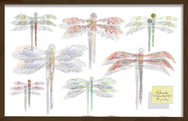 Dragons flat small copy Dragons flat small copy