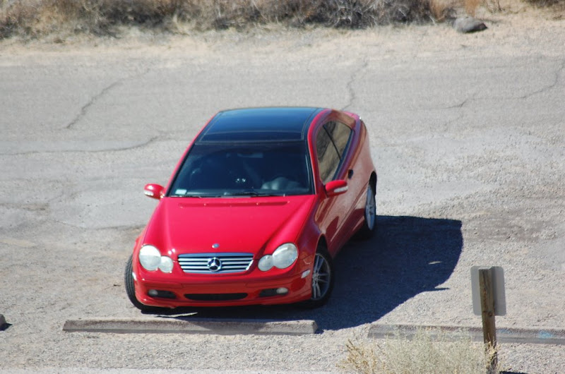 [Image: DSC_0236.JPG]