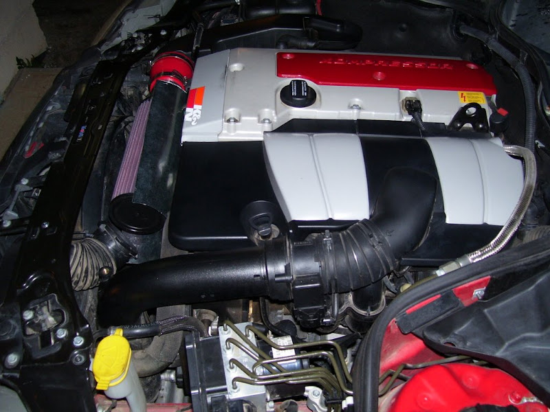 [Image: 100_1135.JPG]