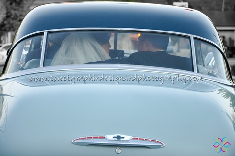 DSC_3835 DSC_3835